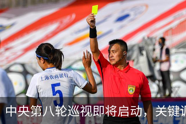 中央第八轮巡视即将启动，关键调整与新规何在？